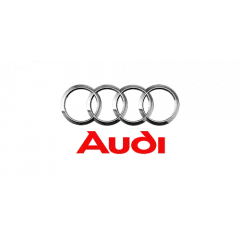 Коврики в салон Audi