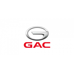 Коврики в салон GAC