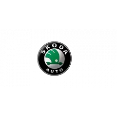 Коврики в салон Skoda