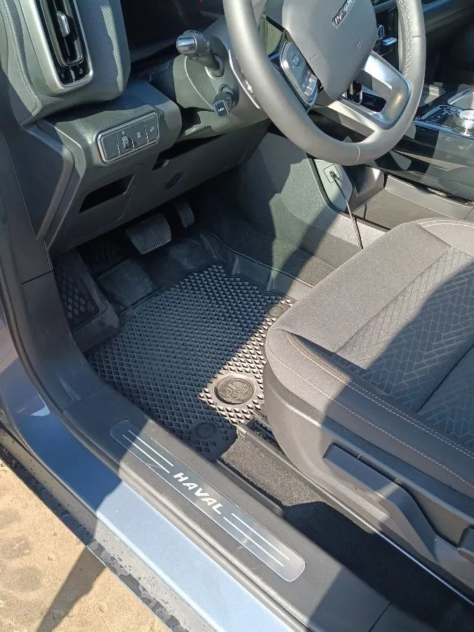 Коврики для автомобиля Haval Dargo 1, Хавал Дарго 1 в cалон с бортиками, эва, eva